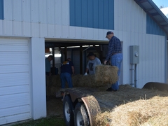 Setting out hay-bale decorations
